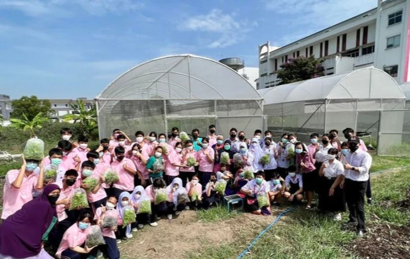 Smart Farming Project with Cooling Diffused Films