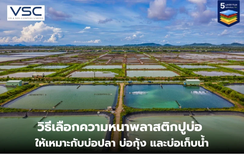 วิธีเลือกความหนาพลาสติกปูบ่อ ให้เหมาะกับบ่อปลา บ่อกุ้ง และบ่อเก็บน้ำ