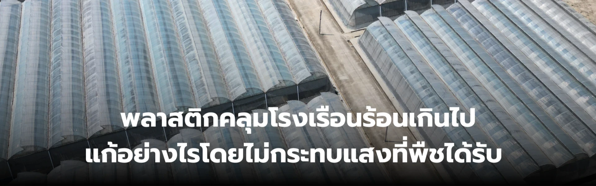 พลาสติกคลุมโรงเรือนร้อนเกินไป แก้อย่างไรโดยไม่กระทบแสงที่พืชได้รับ