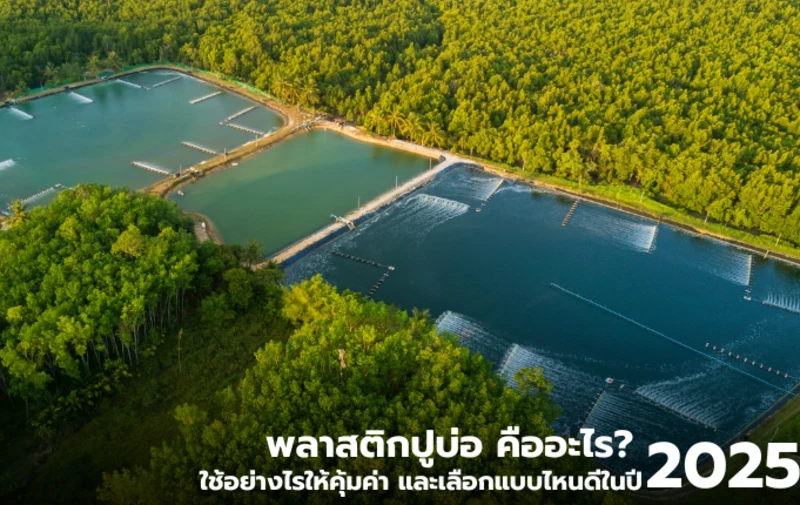 How to use pond liner plastic efficiently and which type is best in 2025?