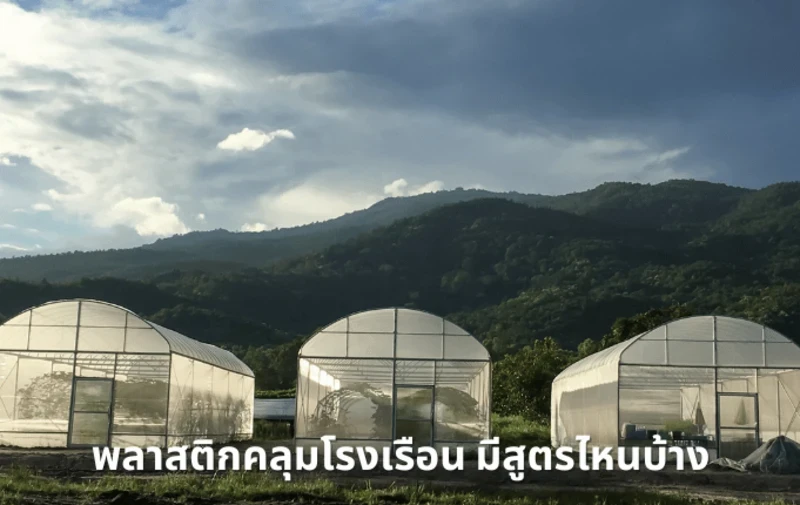 What different between each formulas of greenhouse films?