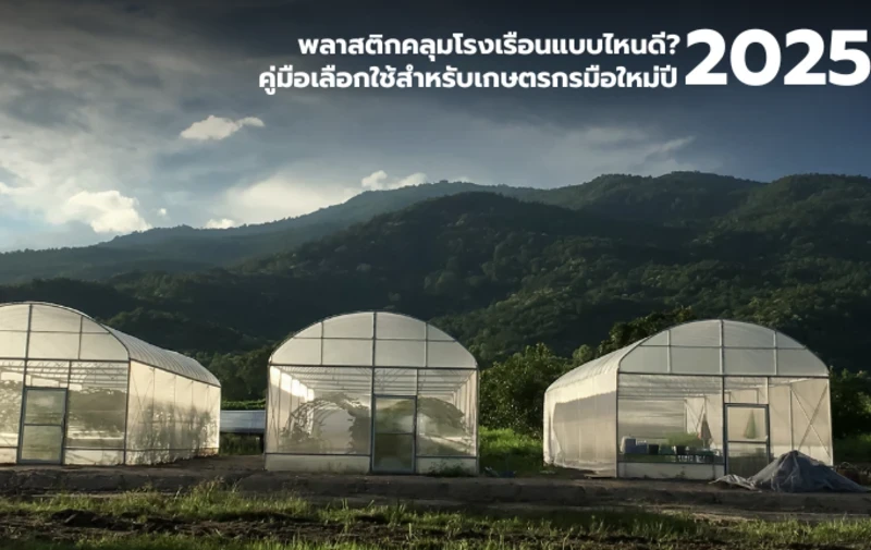 Which Greenhouse Plastic is Best?