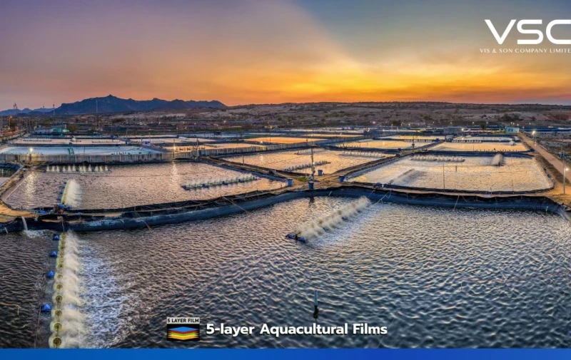 0.15 mm thick pond liner plastic for shrimp farms in Surat Thani Province.