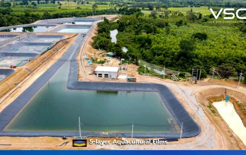 0.75 mm HDPE Geomembrane pond for shrimp farming