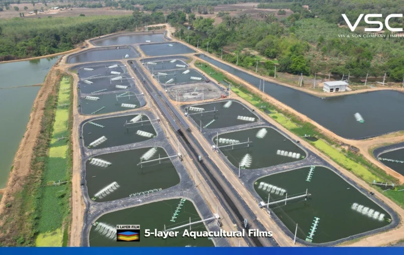 A fish farm in Khon Kaen province used 1.5 mm HDPE geomembrane for 15 fish ponds.