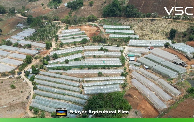 Doi Chang Tomato Farm