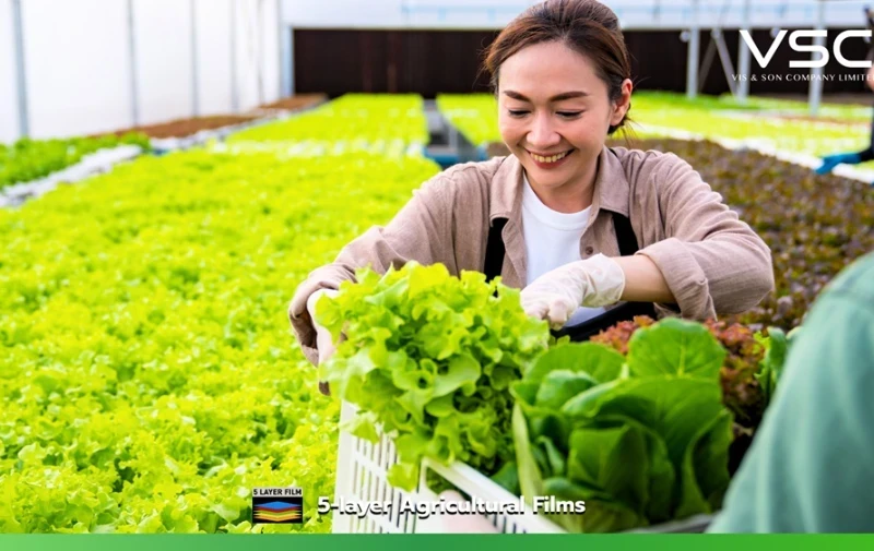 Greenhouse plastic for closed greenhouse systems.