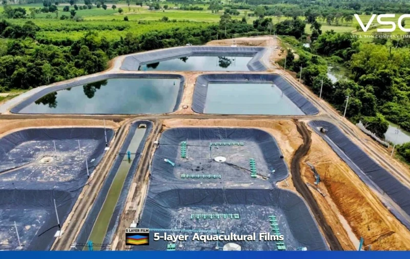High-quality HDPE geomembrane sheets, 1.50 mm thick, for fish farms in Buriram Province.