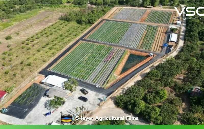 Plant breeding innovation exhibition, Chiang Mai Province.
