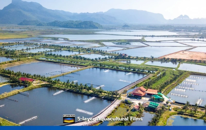 Plastic pond liners for shrimp farms in Surat Thani Province.