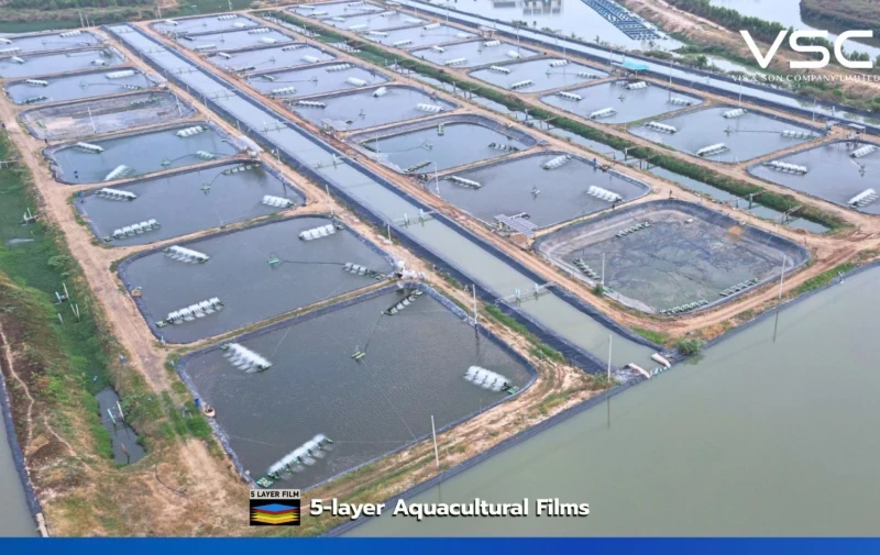 PP Farm in Buriram Province uses 1.5 mm HDPE Geomembrane for raising tilapia and red tilapia.