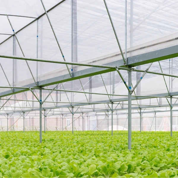 Greenhouse Accessories