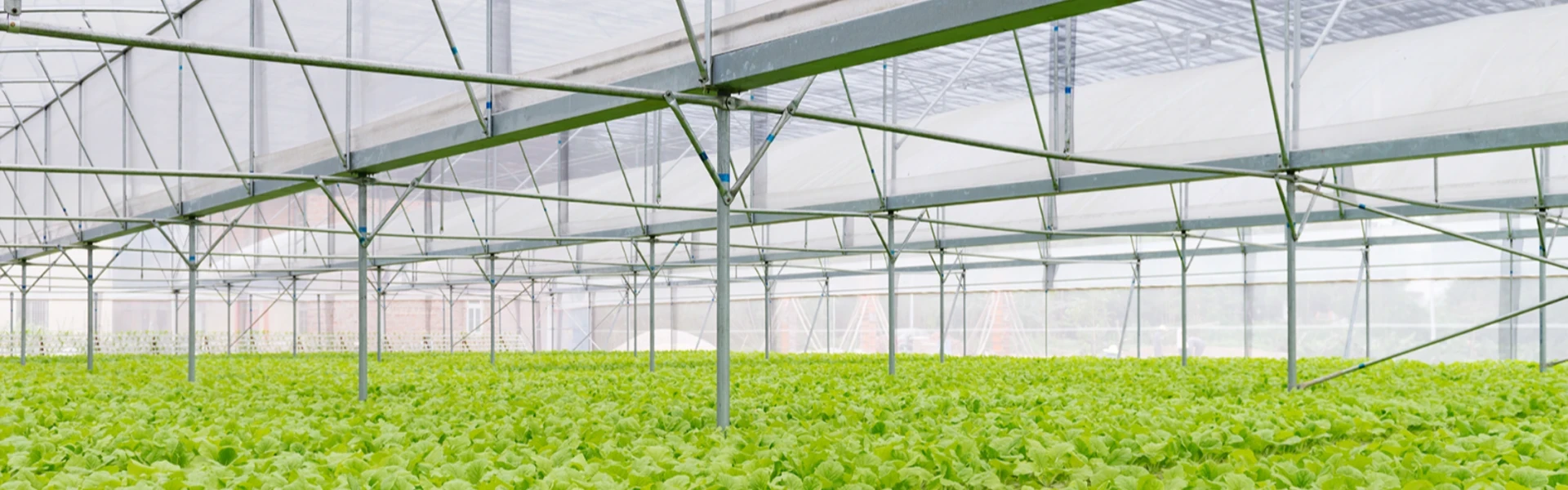 Greenhouse Accessories