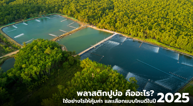 พลาสติกปูบ่อ ใช้อย่างไรให้คุ้มค่า และเลือกแบบไหนดีในปี 2025 