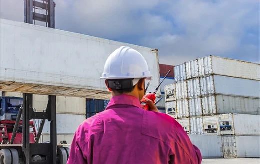 Container liner