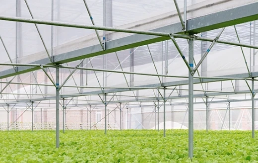 Greenhouse Accessories