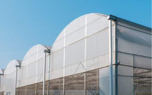 Greenhouse Film