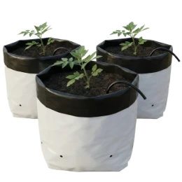 Grow Bag