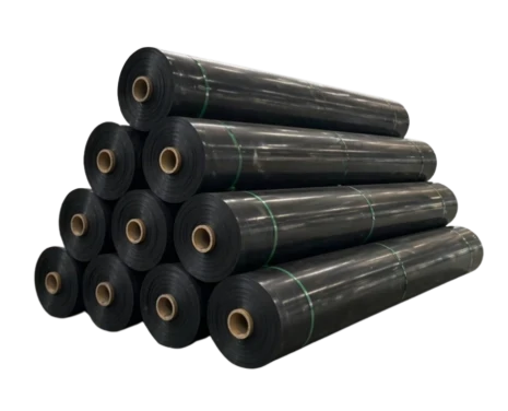 HDPE Geomembrane