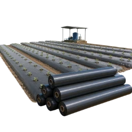 Mulch Film