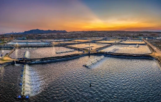Pond Liner Film